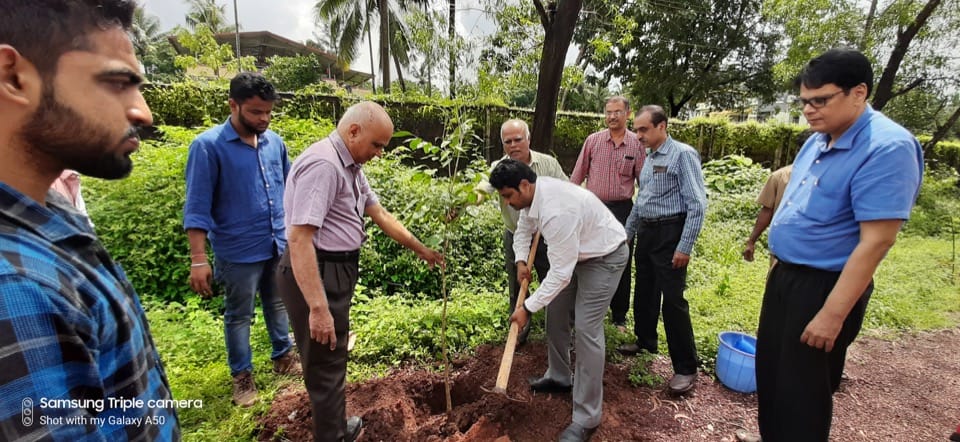 “One student – one tree” drive